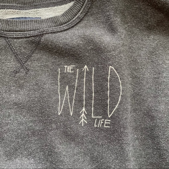 American Eagle Grey The Wild Life Crewneck - Picture 3 of 7
